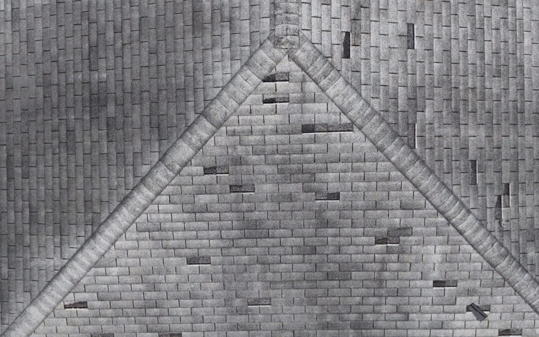 Why Does My Roof Have Black Streaks? A Port St. Lucie Homeowner’s Guide